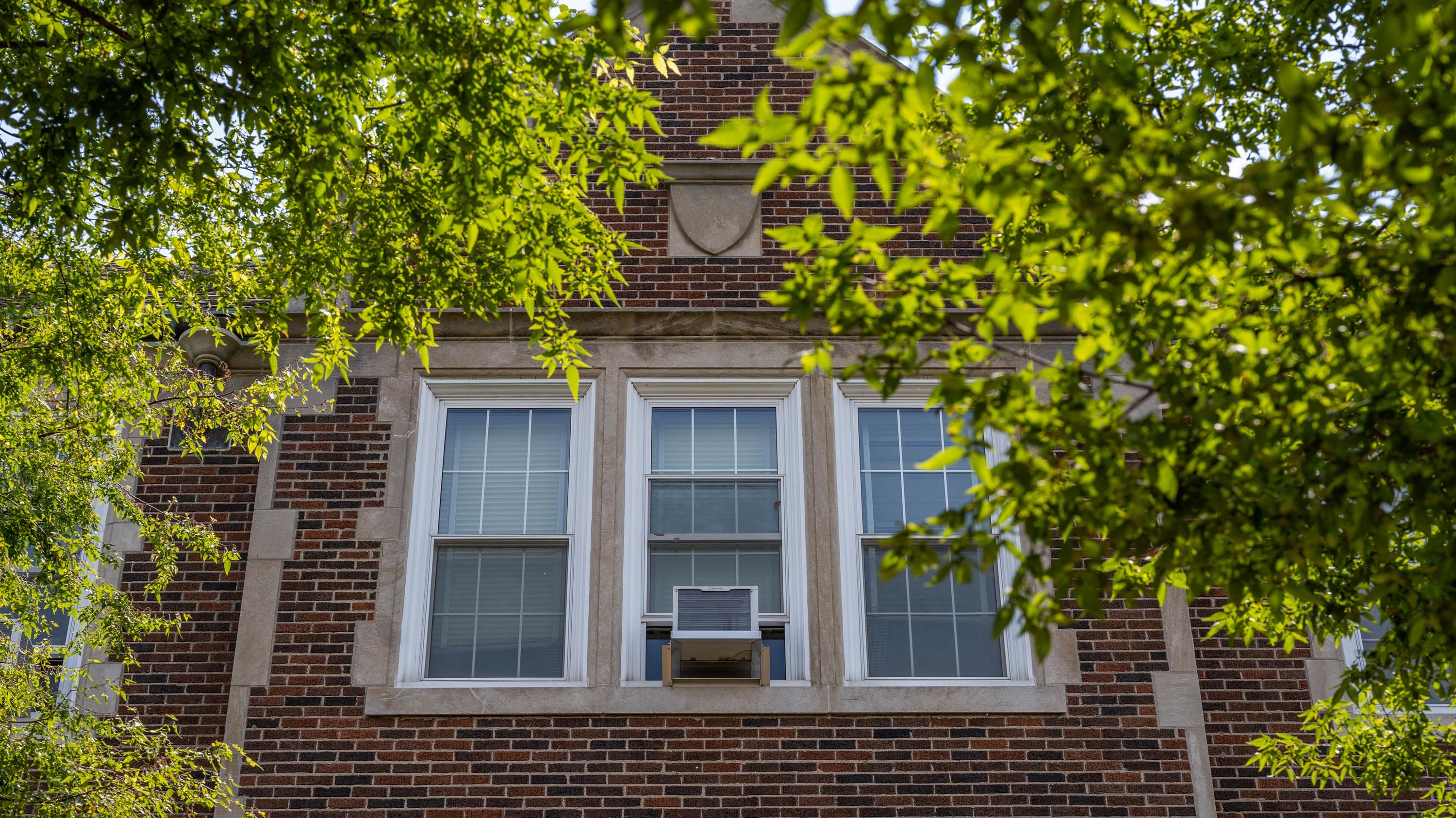Windows of Old Horticulture building, framed by trees