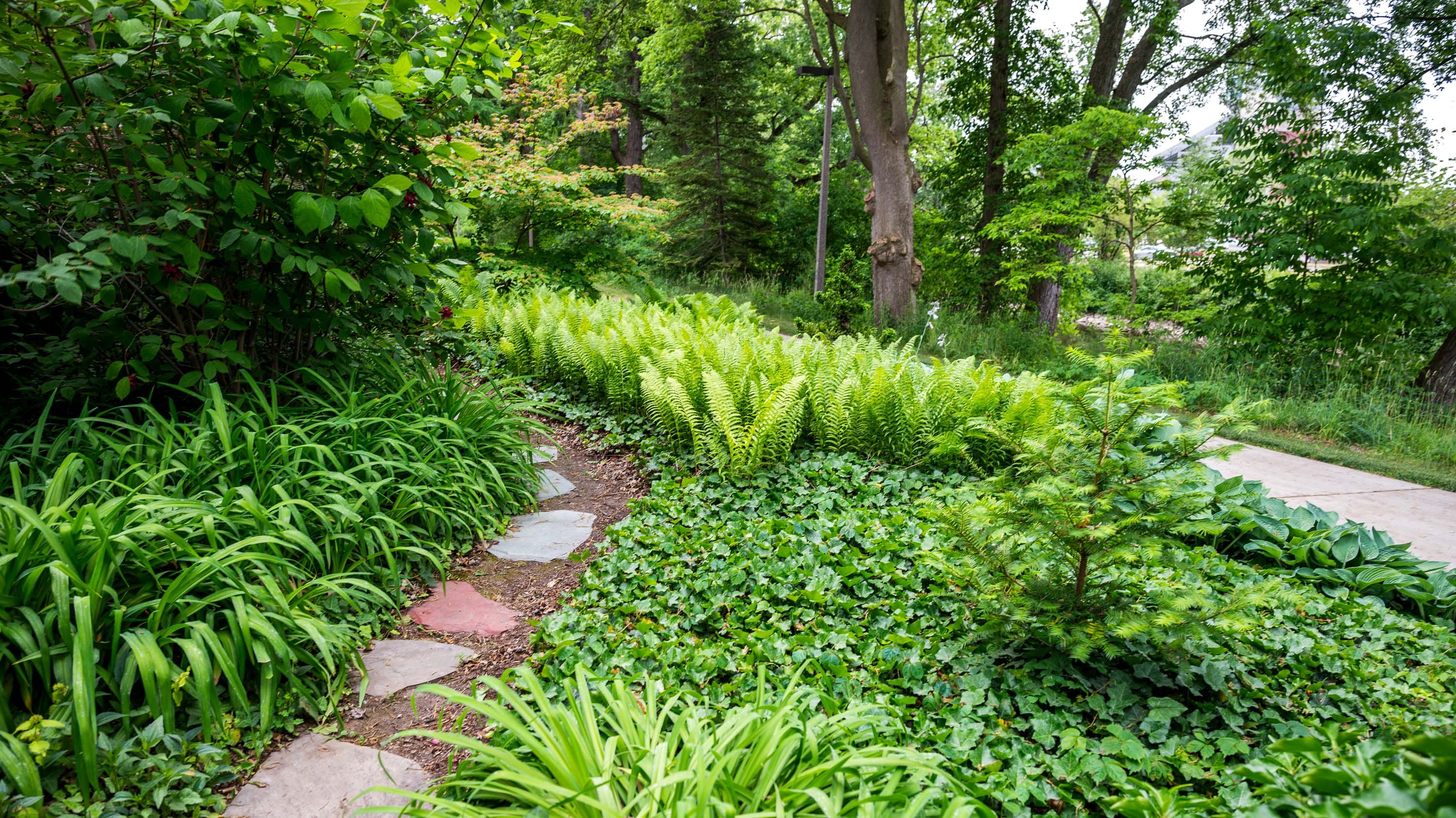 Stone path in Beal Garden
