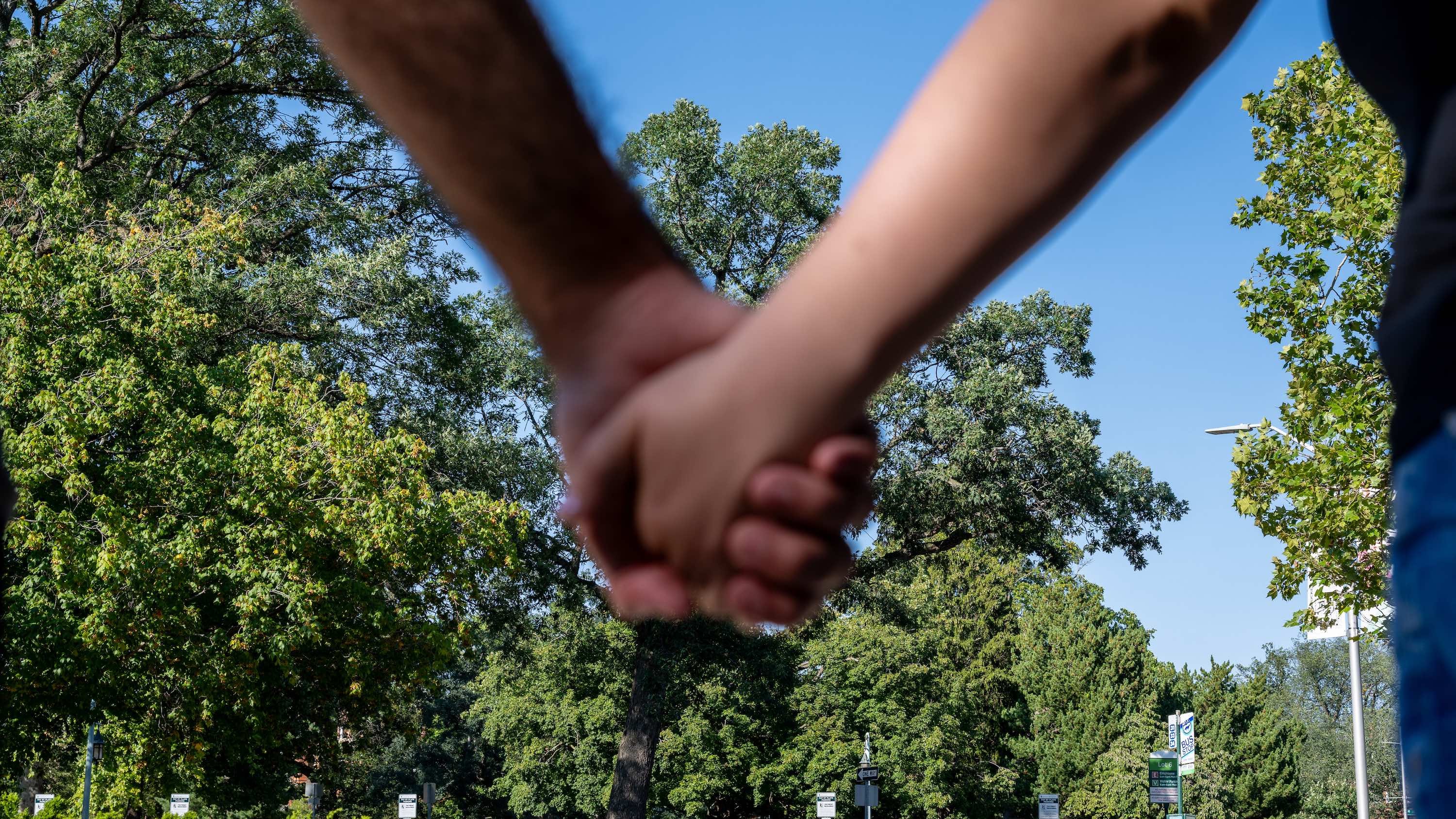 Two blurry hands clasp int he foreground, framing the shape of a heart in the leaves of a tree