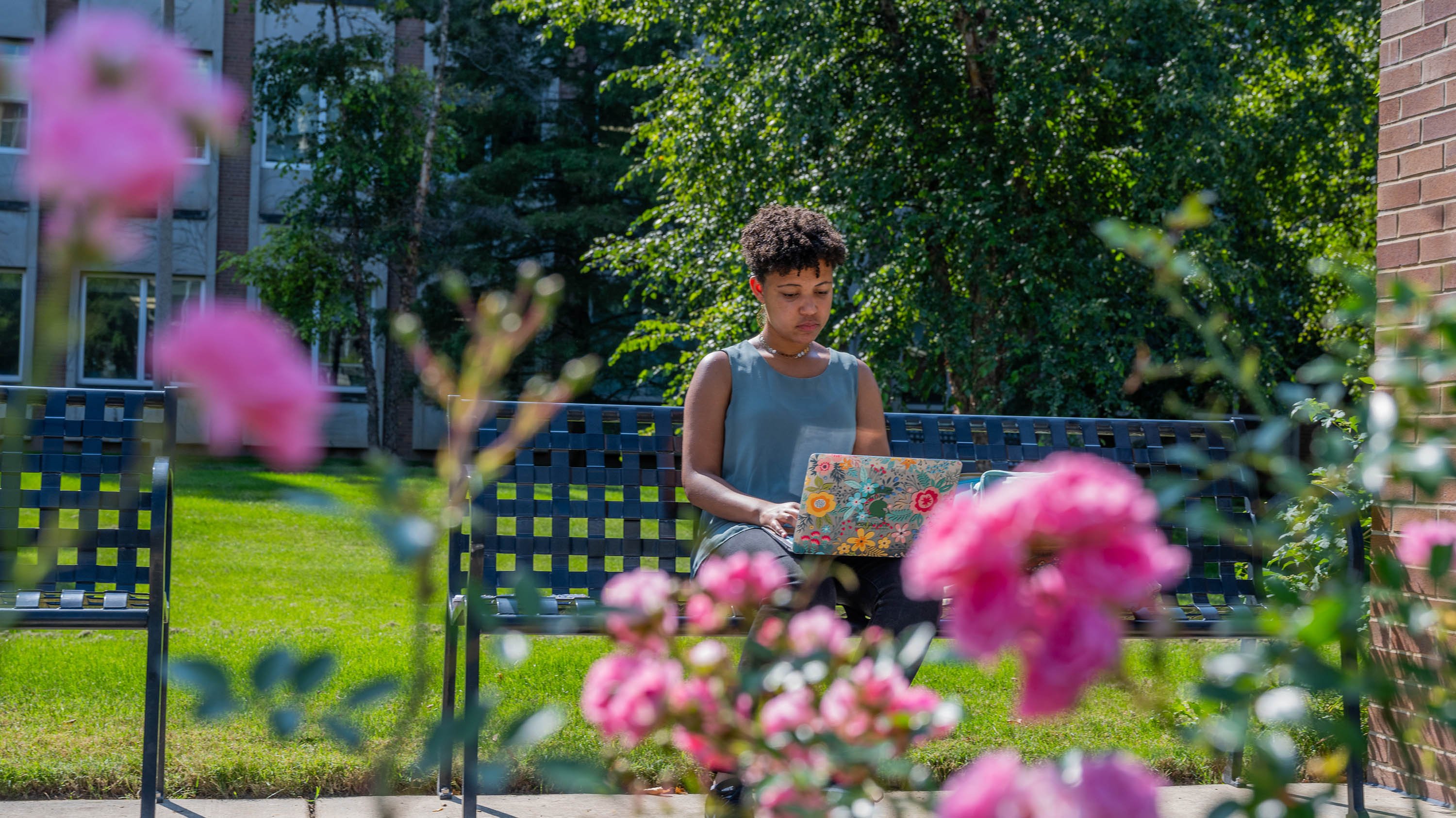 Student studying on bench framed by pink roses