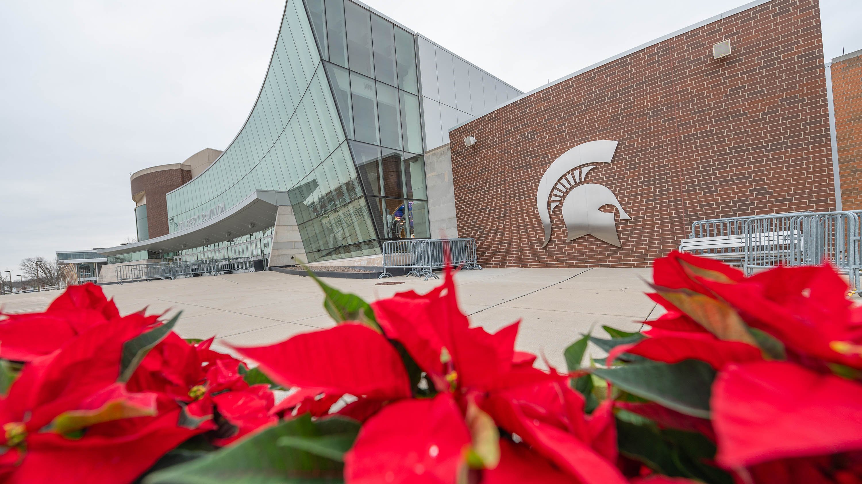 Poinsettia flowers in front of Breslin Center 