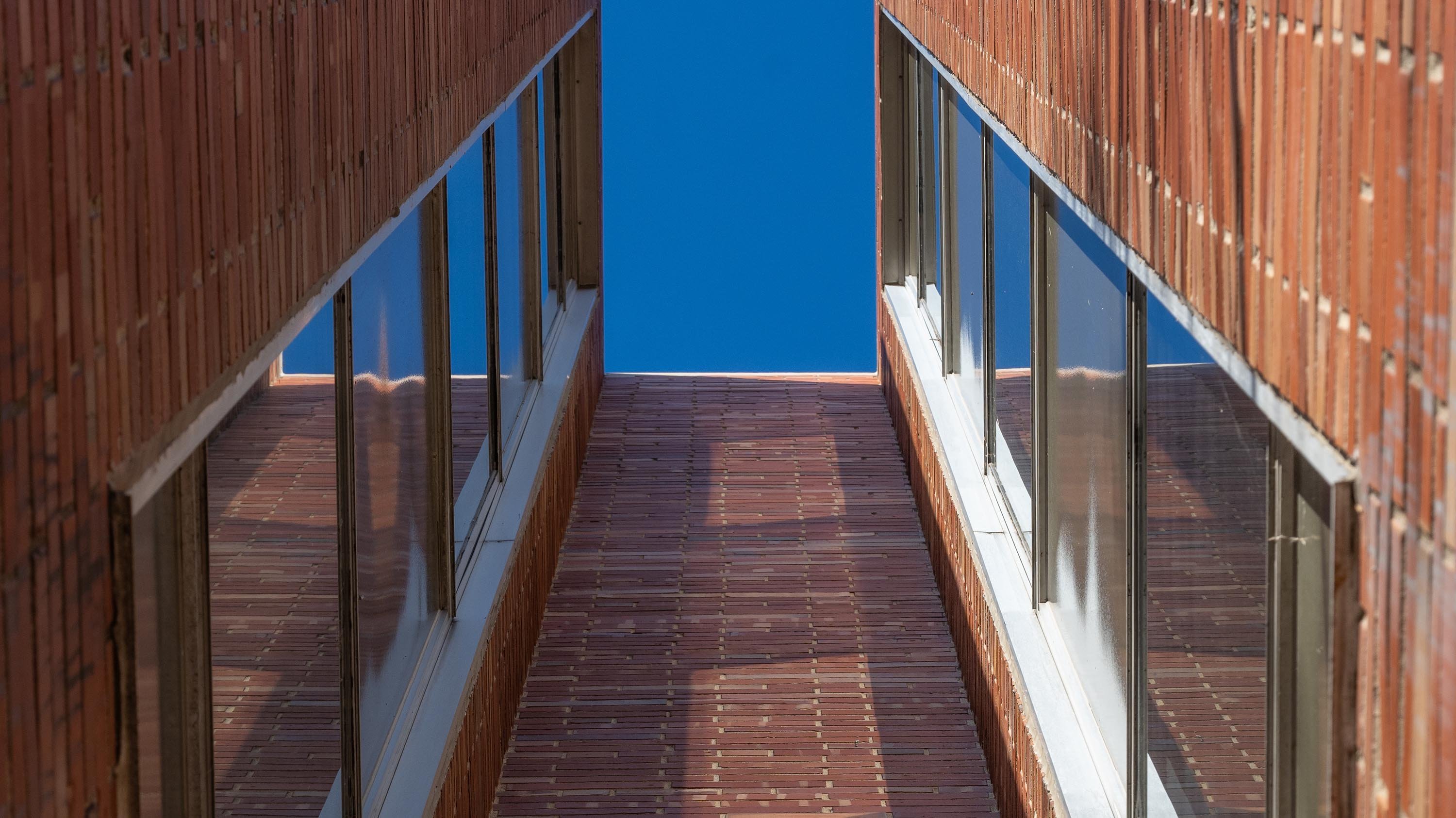 Library windows viewed from an extreme angle