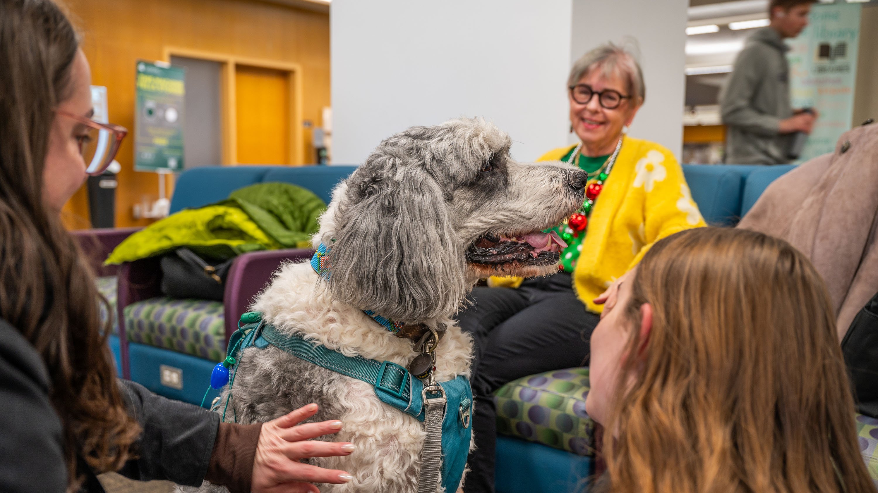 Students with therapy dog