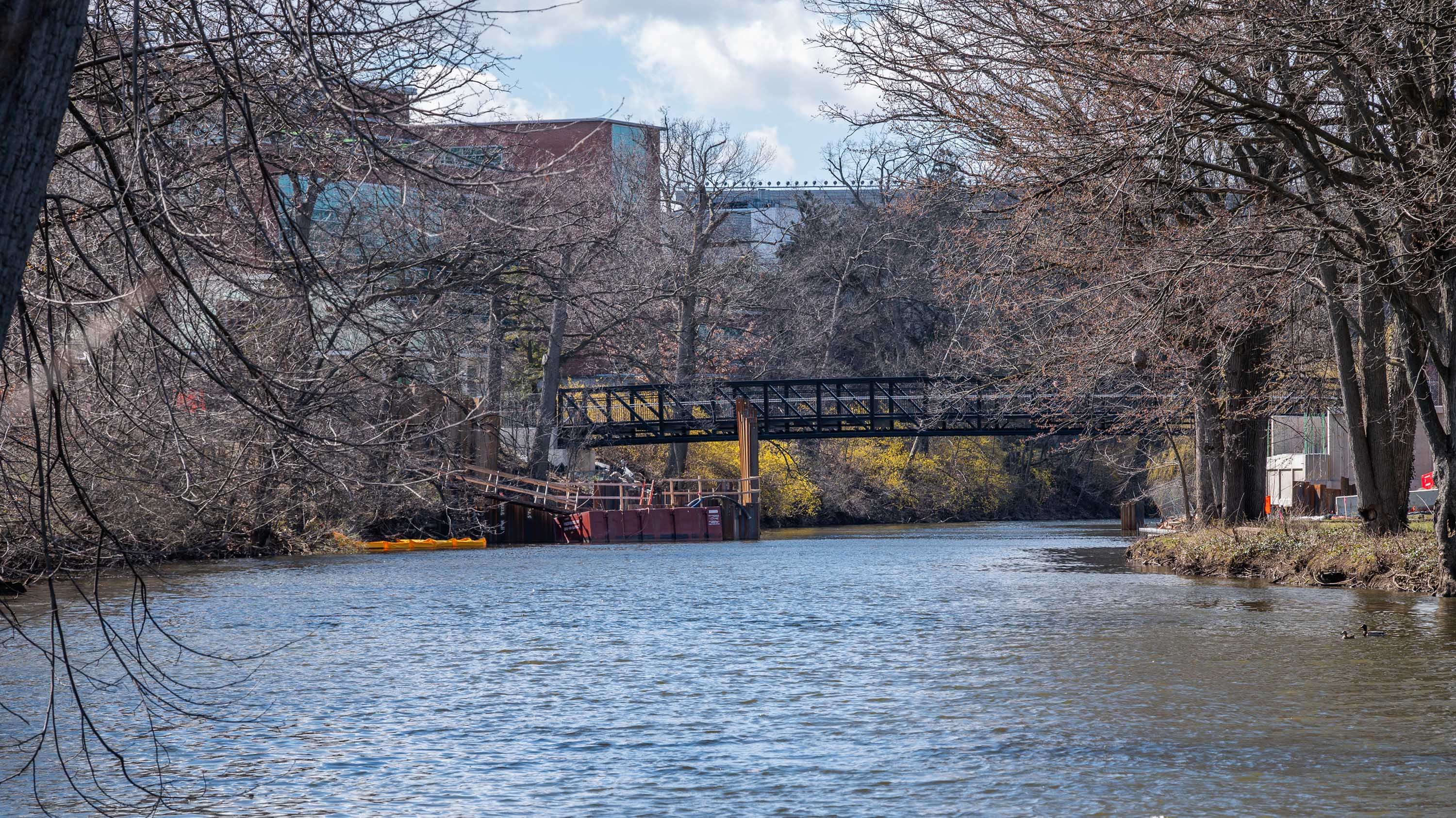Red Cedar with new farm lane bridge in construction