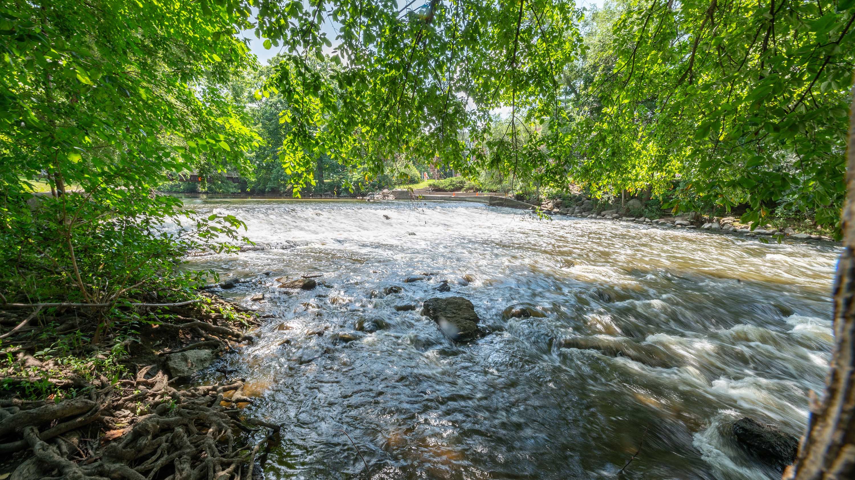 Red Cedar River
