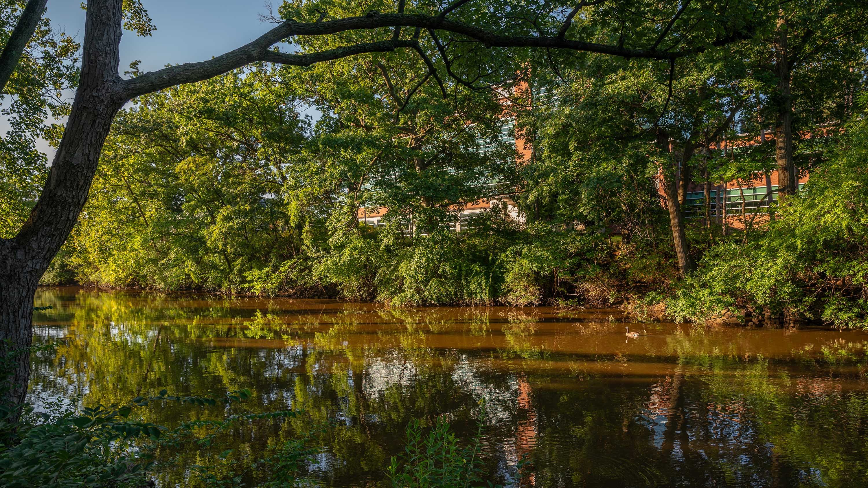 Erickson Hall reflected in Red Cedar River