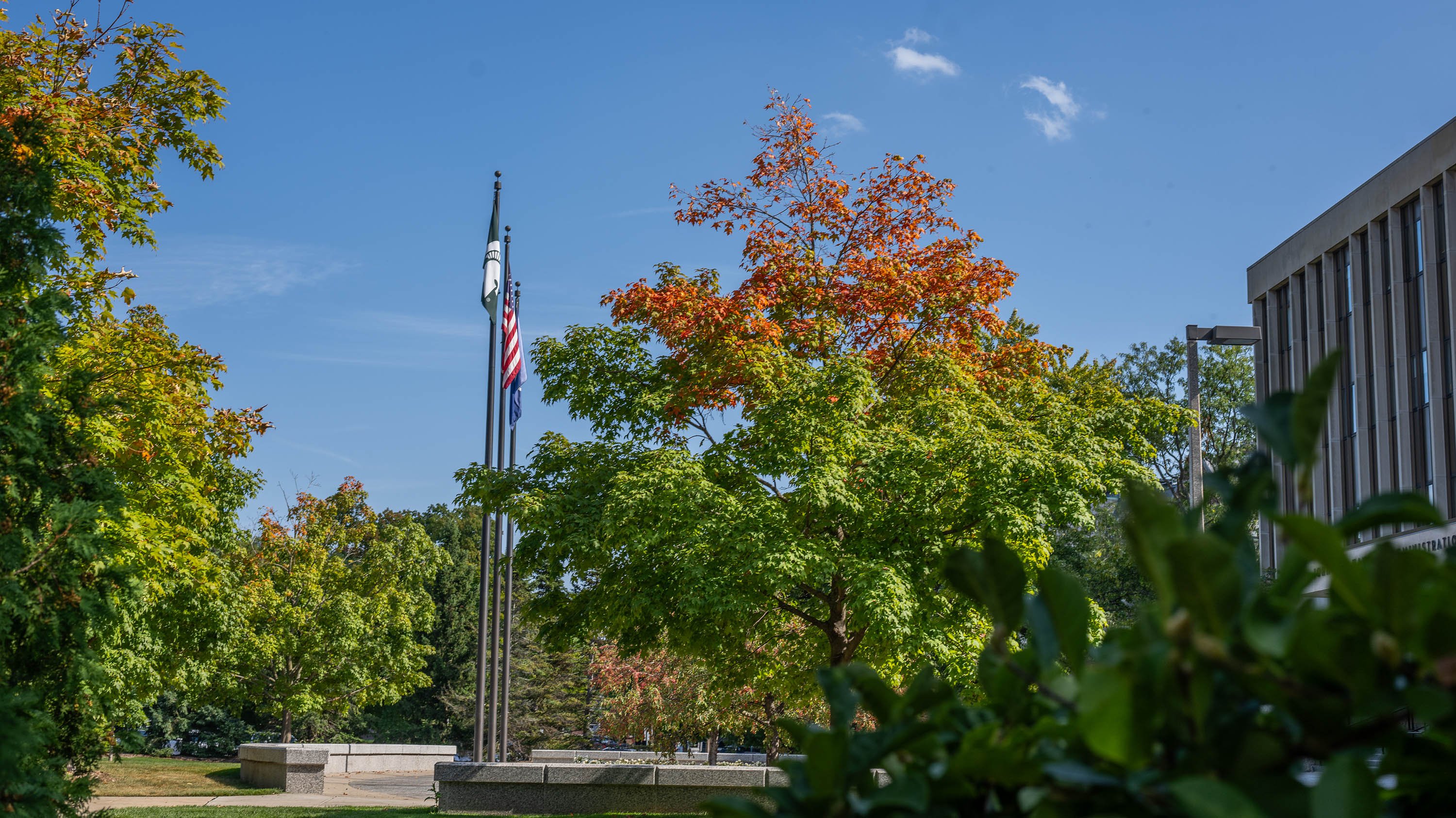 Autumn leaves on trees in Hannah Plaza