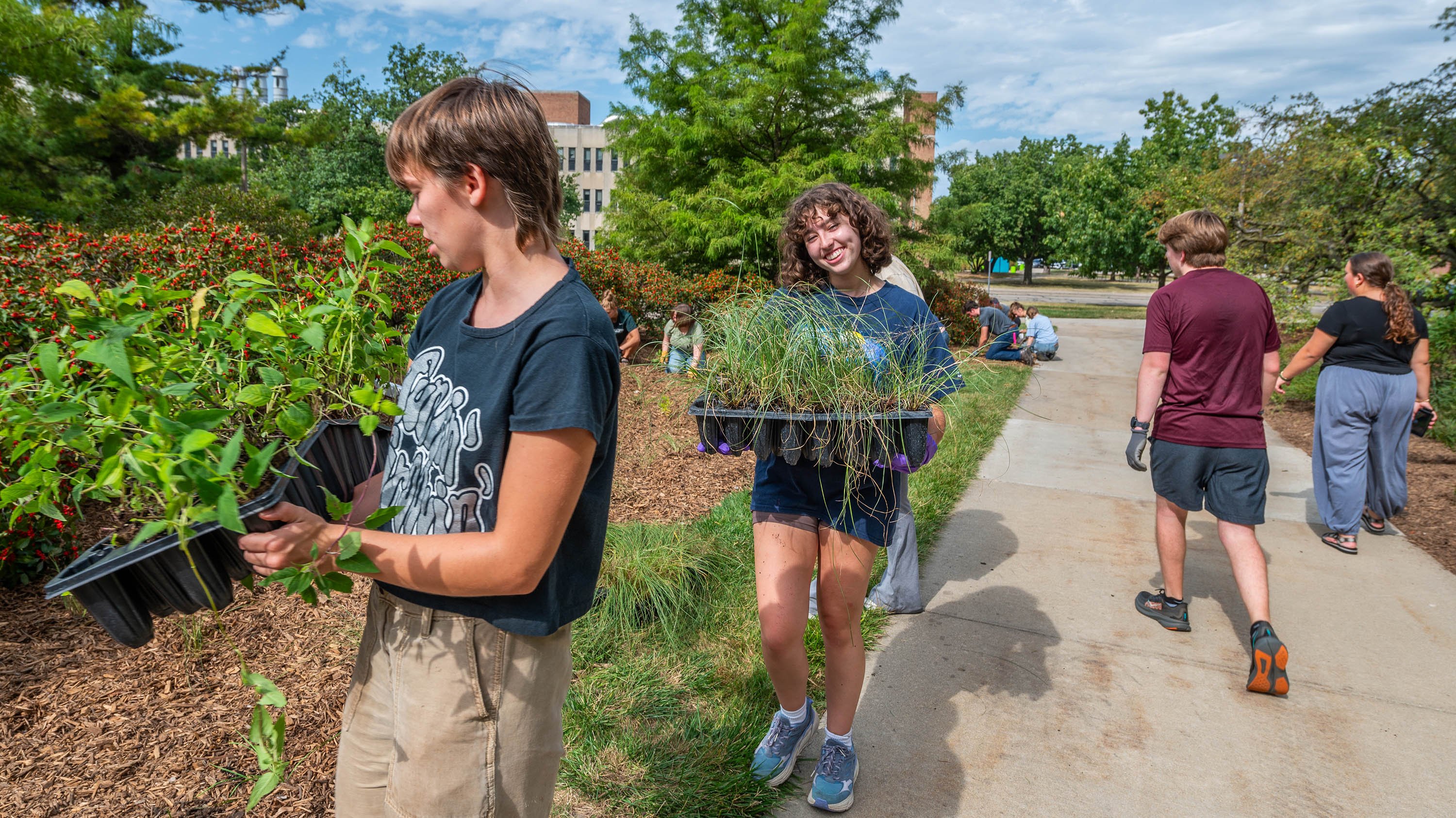 Students carrying plants to pollinator garden