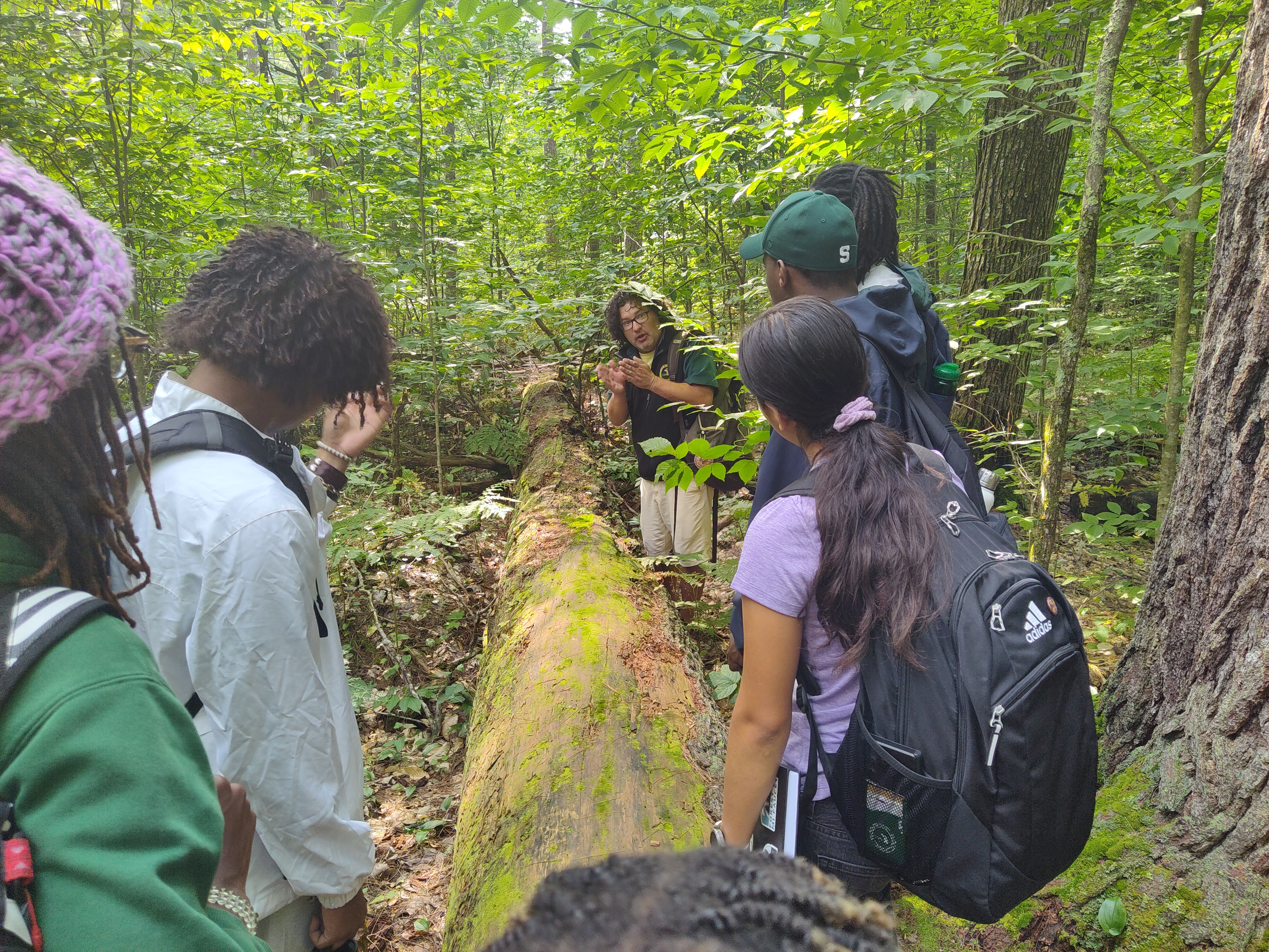 A tour through a forest