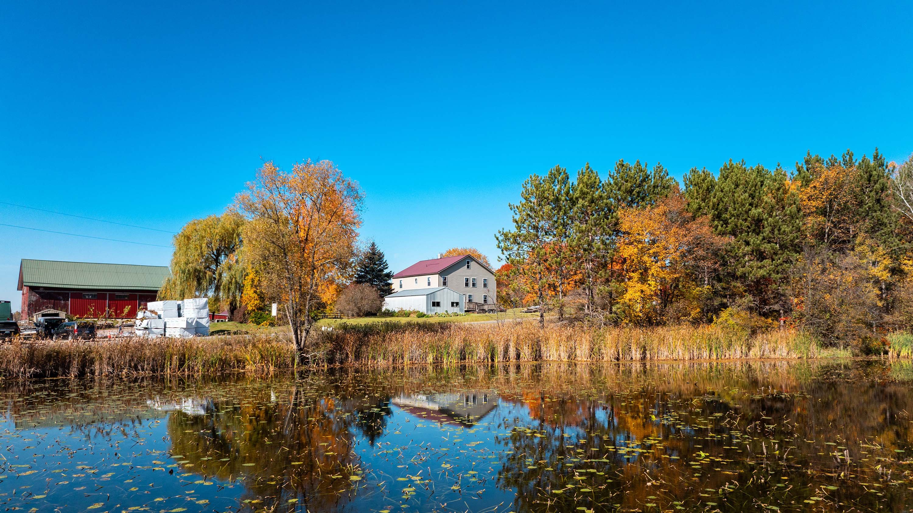 A pond at a farm in the fall