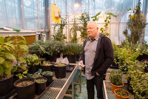 Björn Hamberger stands in a greenhouse, surrounded by pots overflowing with various plants. He wears a zip-up sweater over a checkered dress shirt.