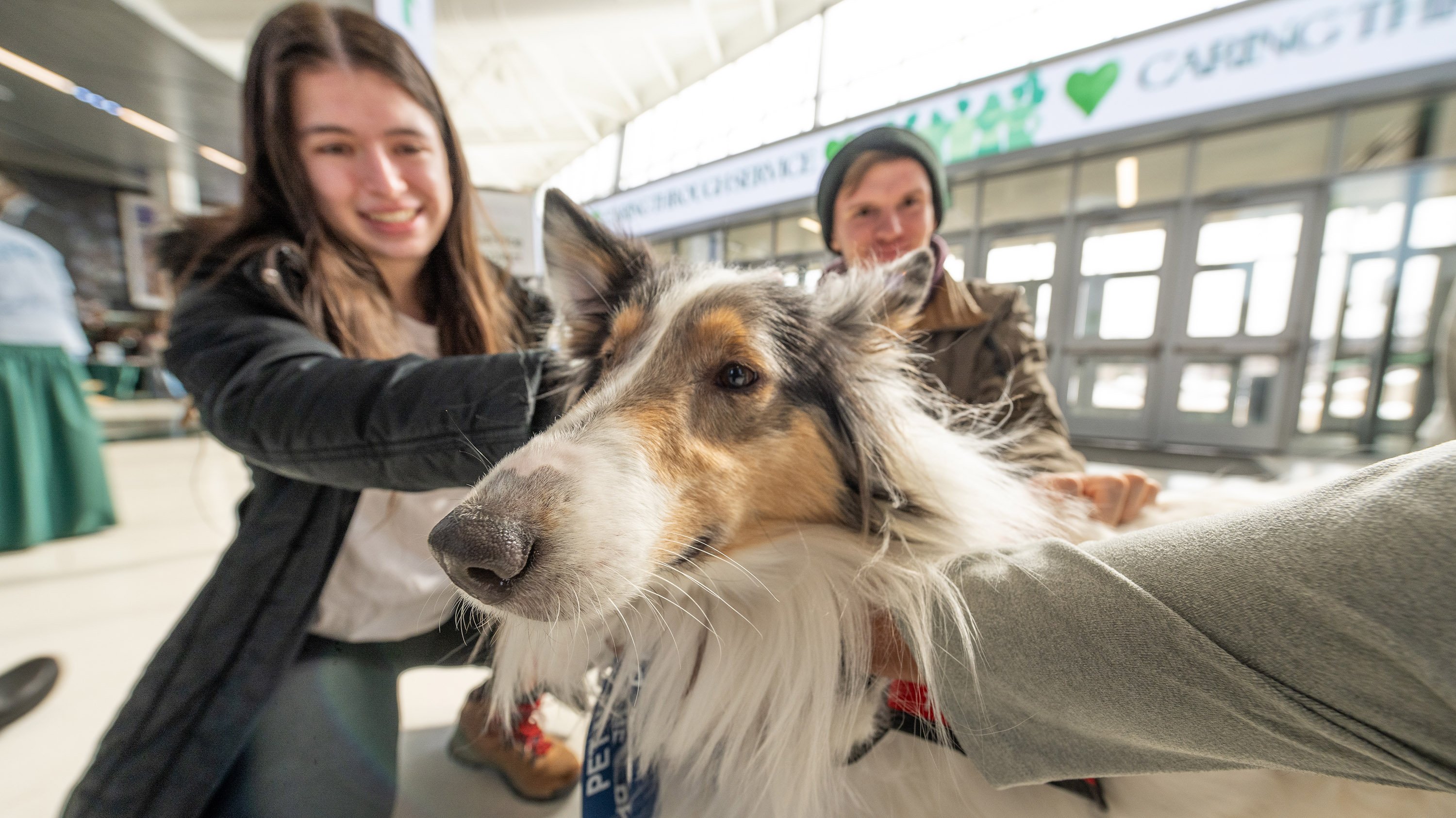 Students petting therapy dog