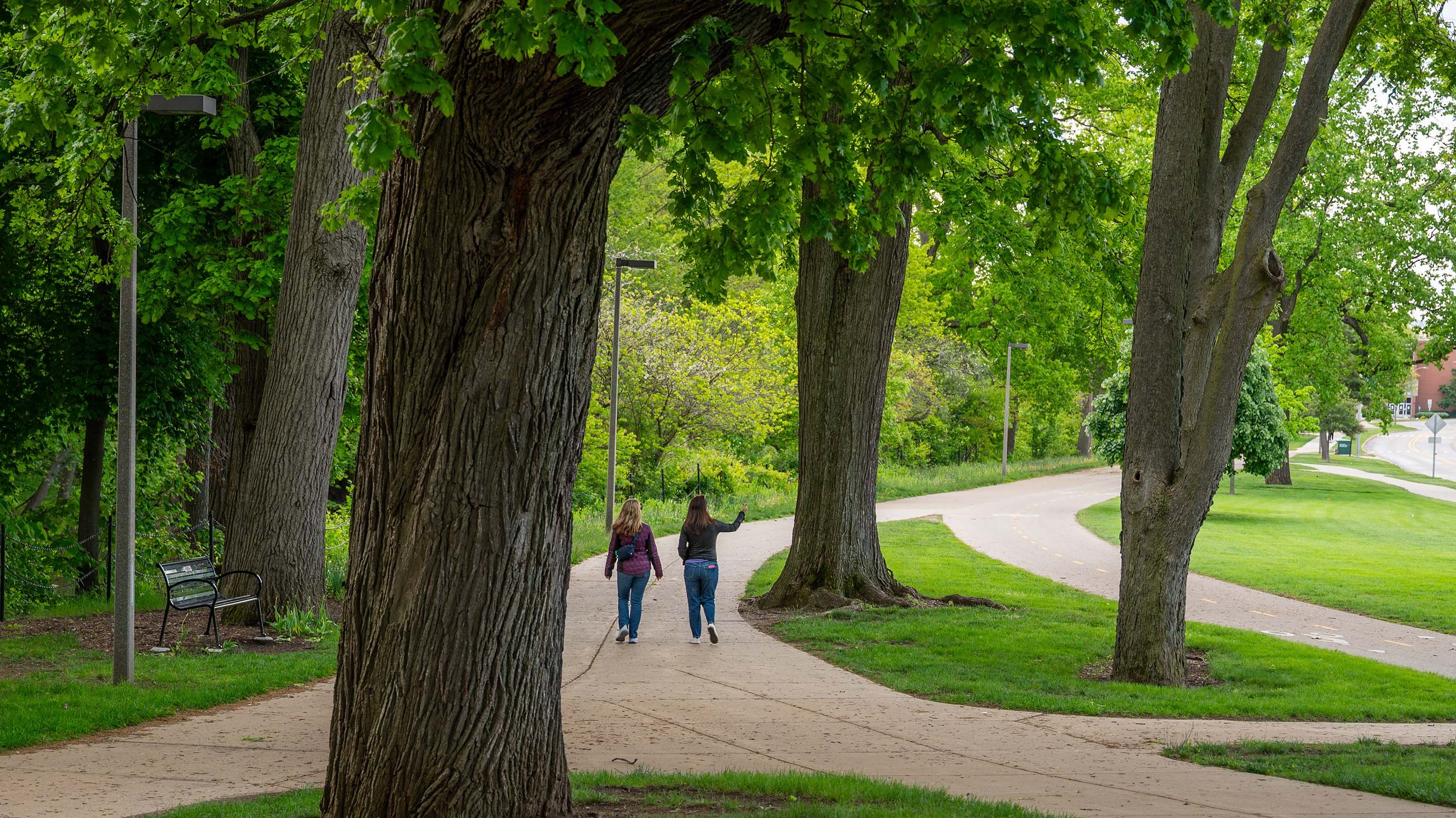 People walking on a campus path