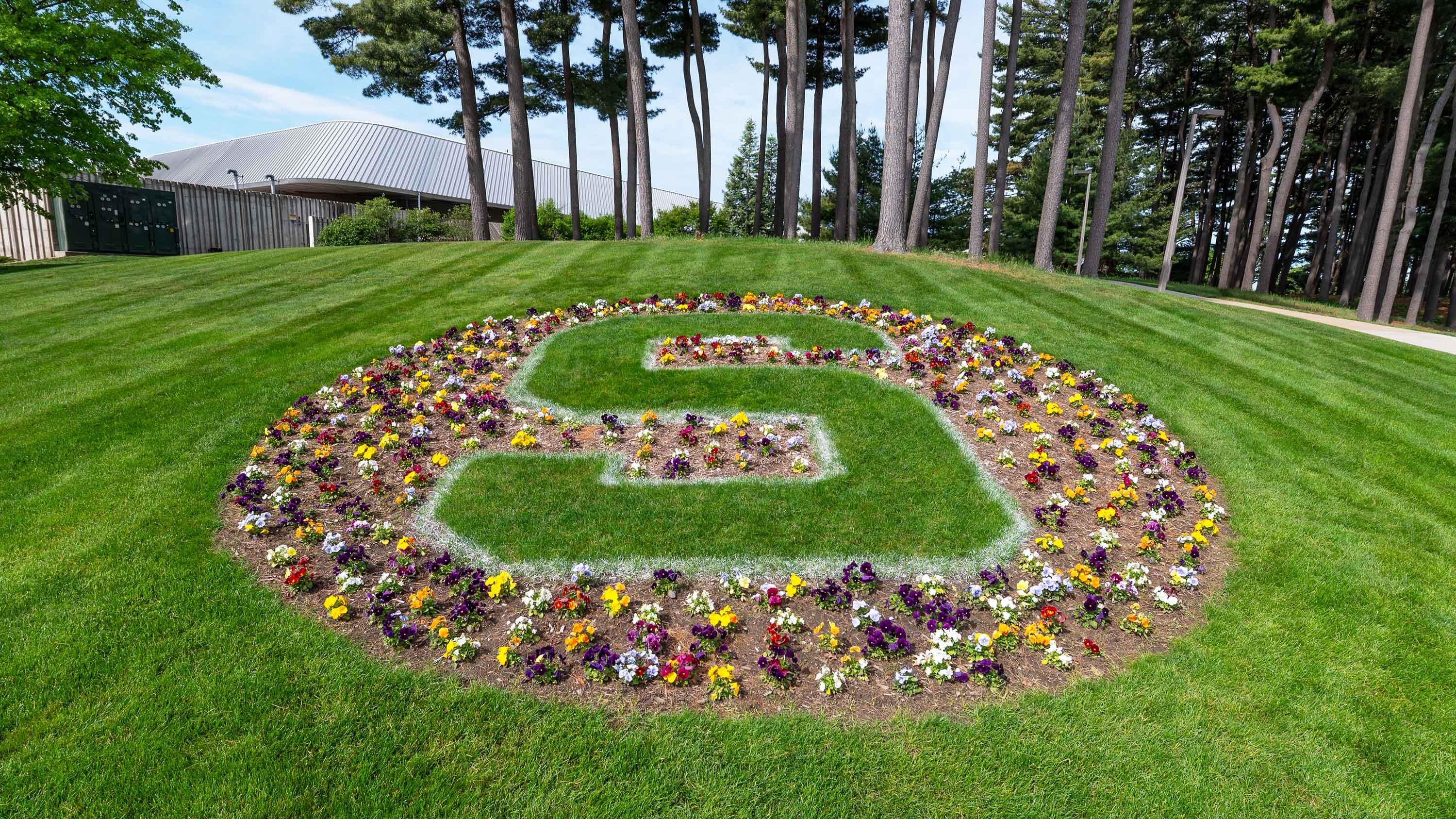 Landscaping design featuring flowers and a block S