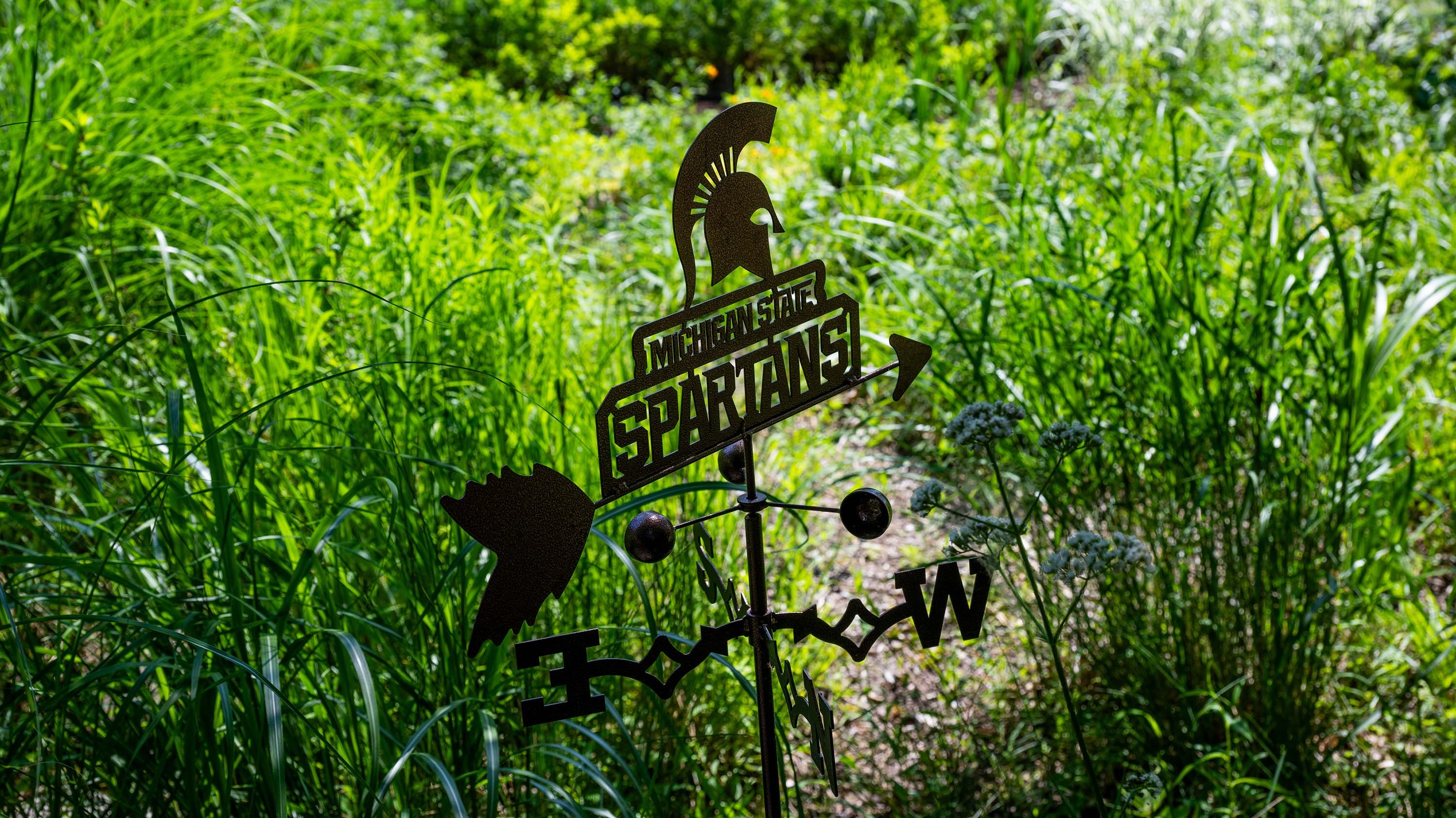 MSU-themed weathervane