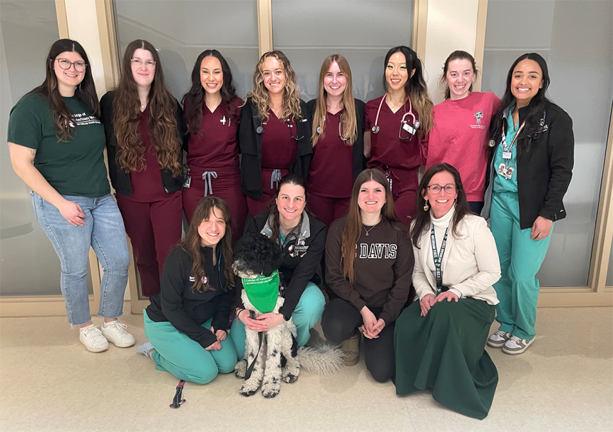 Some of the Spartan applicants who matched, friends, and Dr. Kim Dodd, dean of the College, celebrated with snacks in the Veterinary Medical Center.