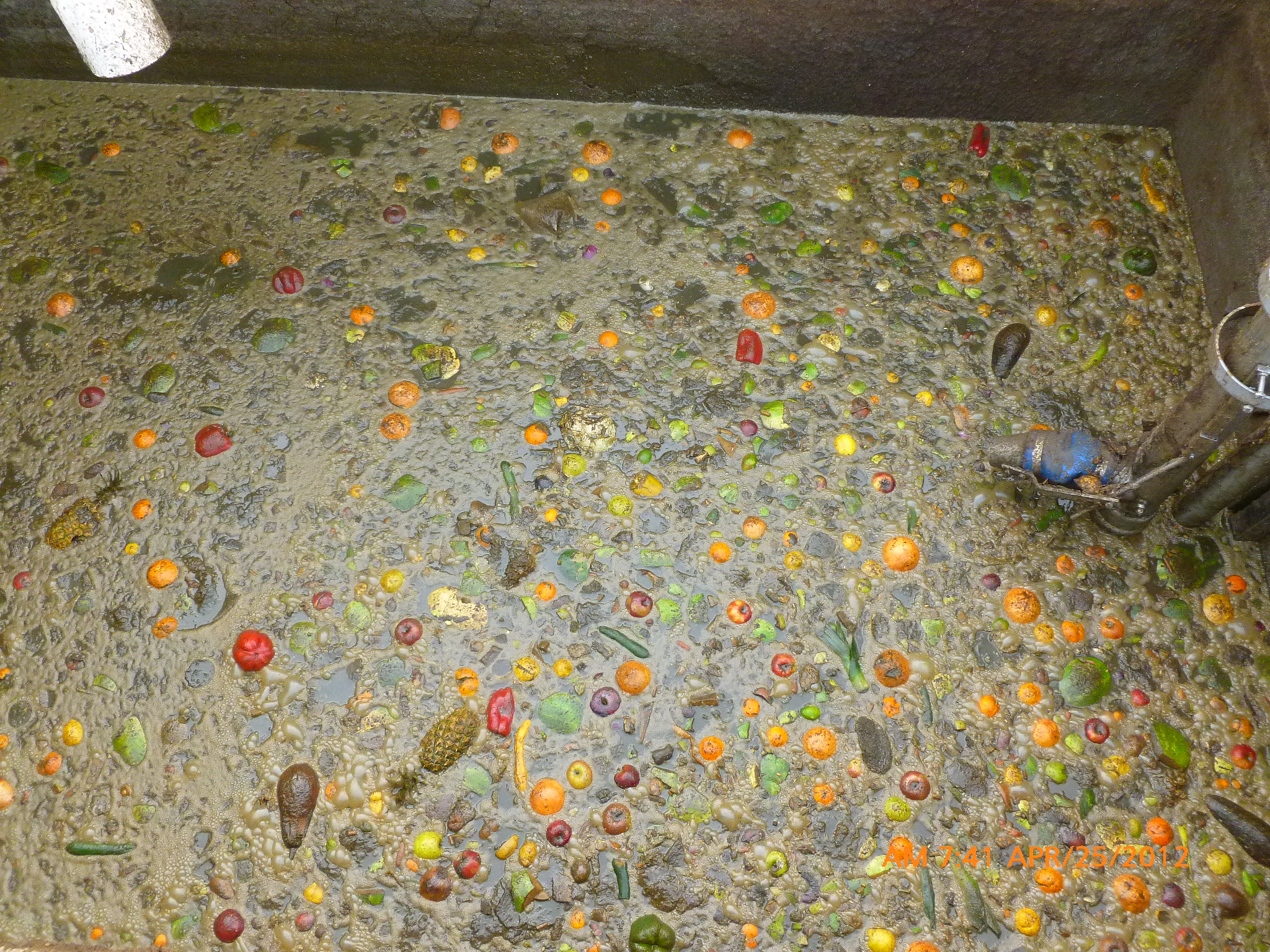 Food waste going into the MSU South Campus Anaerobic Digester. The anaerobic digester breaks down organic wastes such as depacked food waste and livestock manure to produce renewable energy and digestate. (Photo Credit: Wei Liao)
