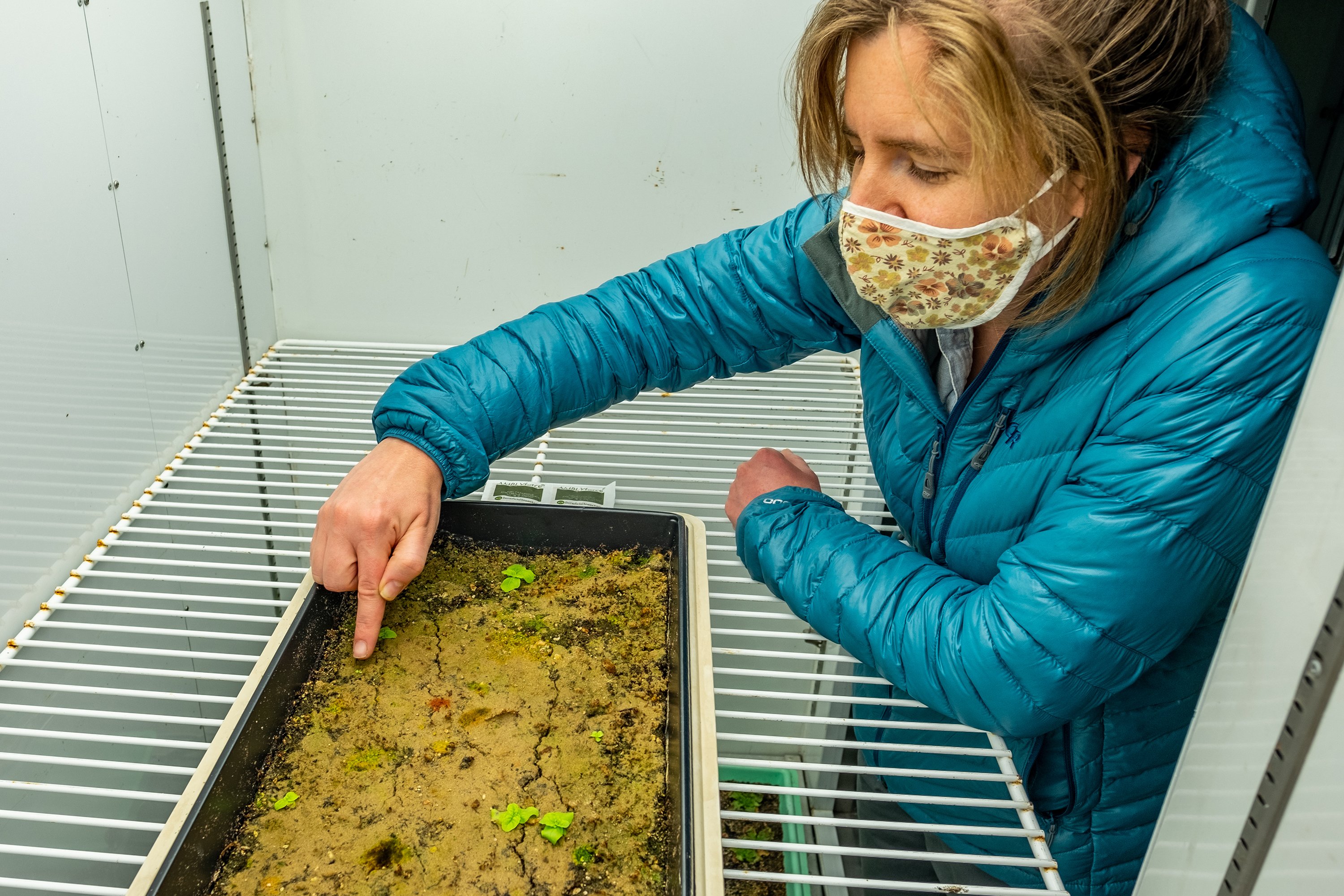 Marjorie Weber with plant seedling