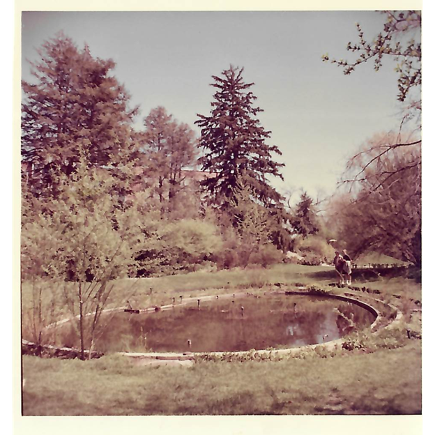 garden pond in early spring
