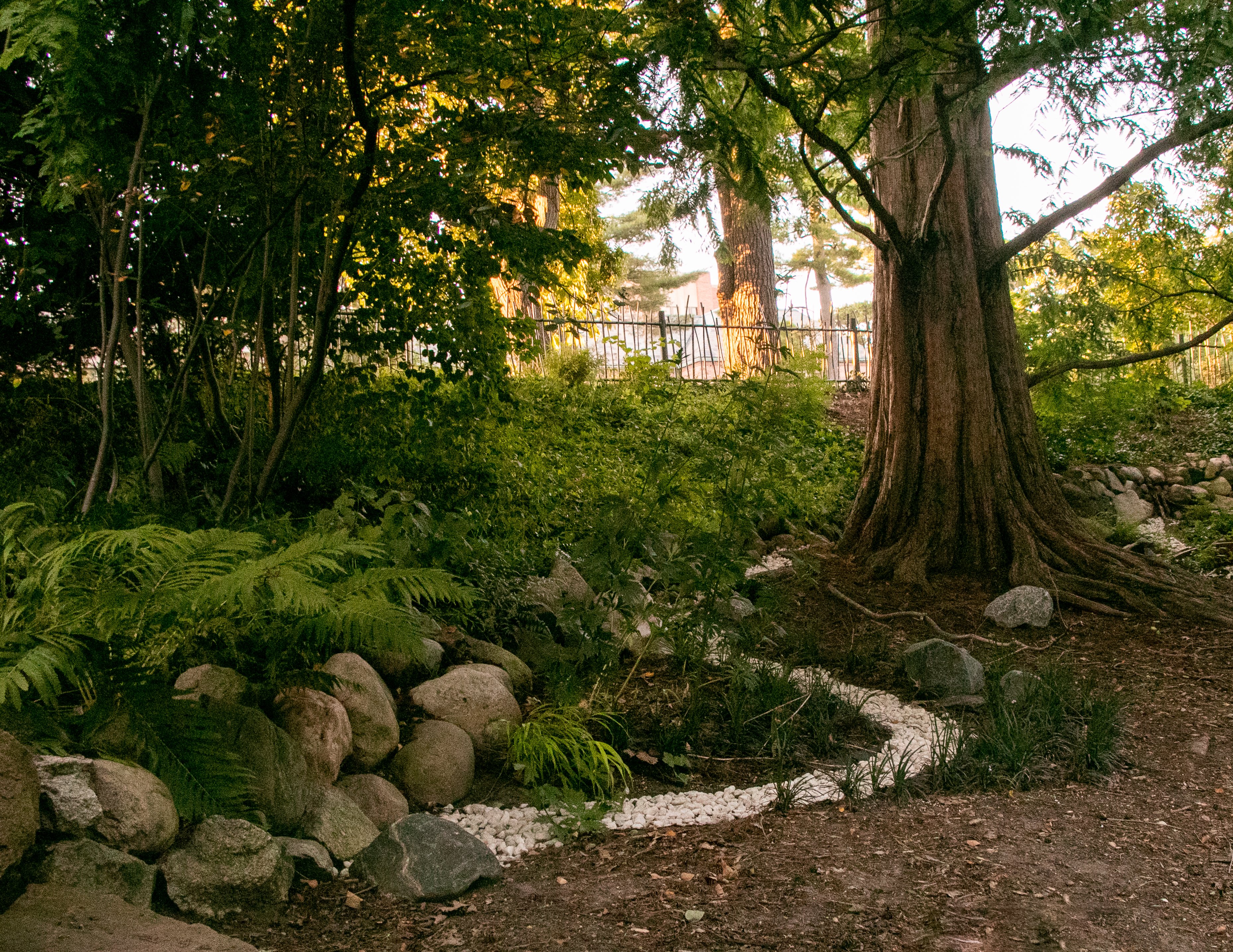 asian-hillside-beal-1