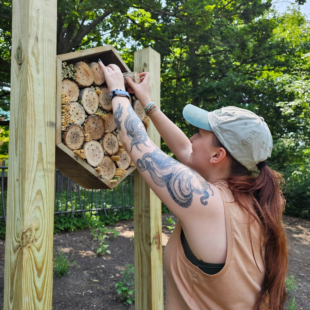 young woman wearing a baseball cap installing a bee hotel