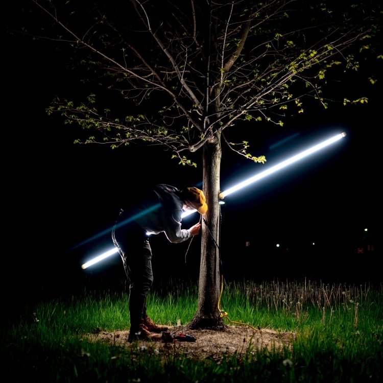 photo of a woman installing a light on a tree at night