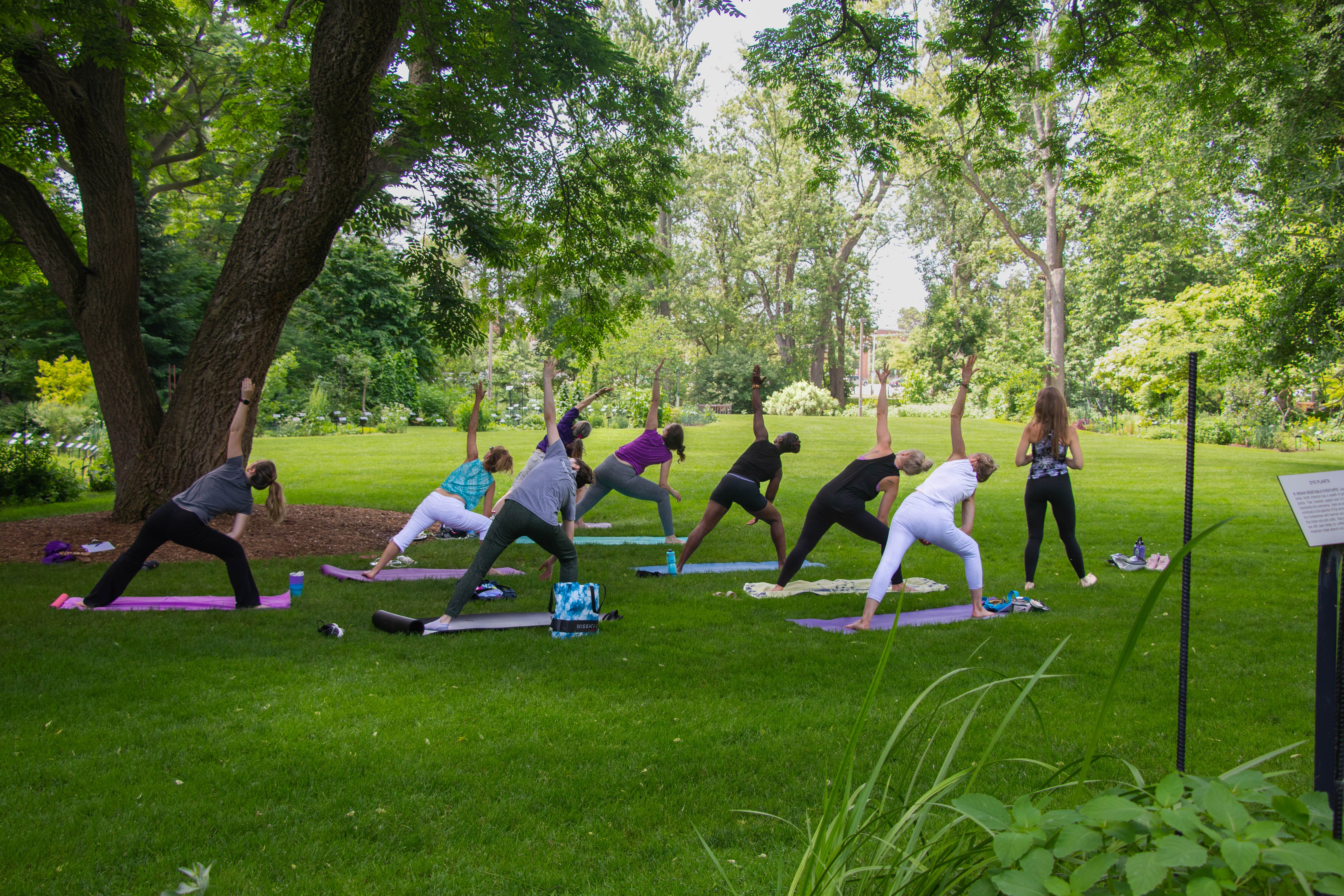 Yoga in the garden