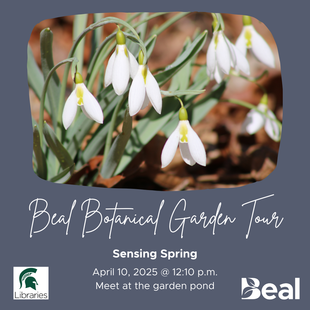 promotional graphic with a photo of a group of white flowers dangling from green leaves