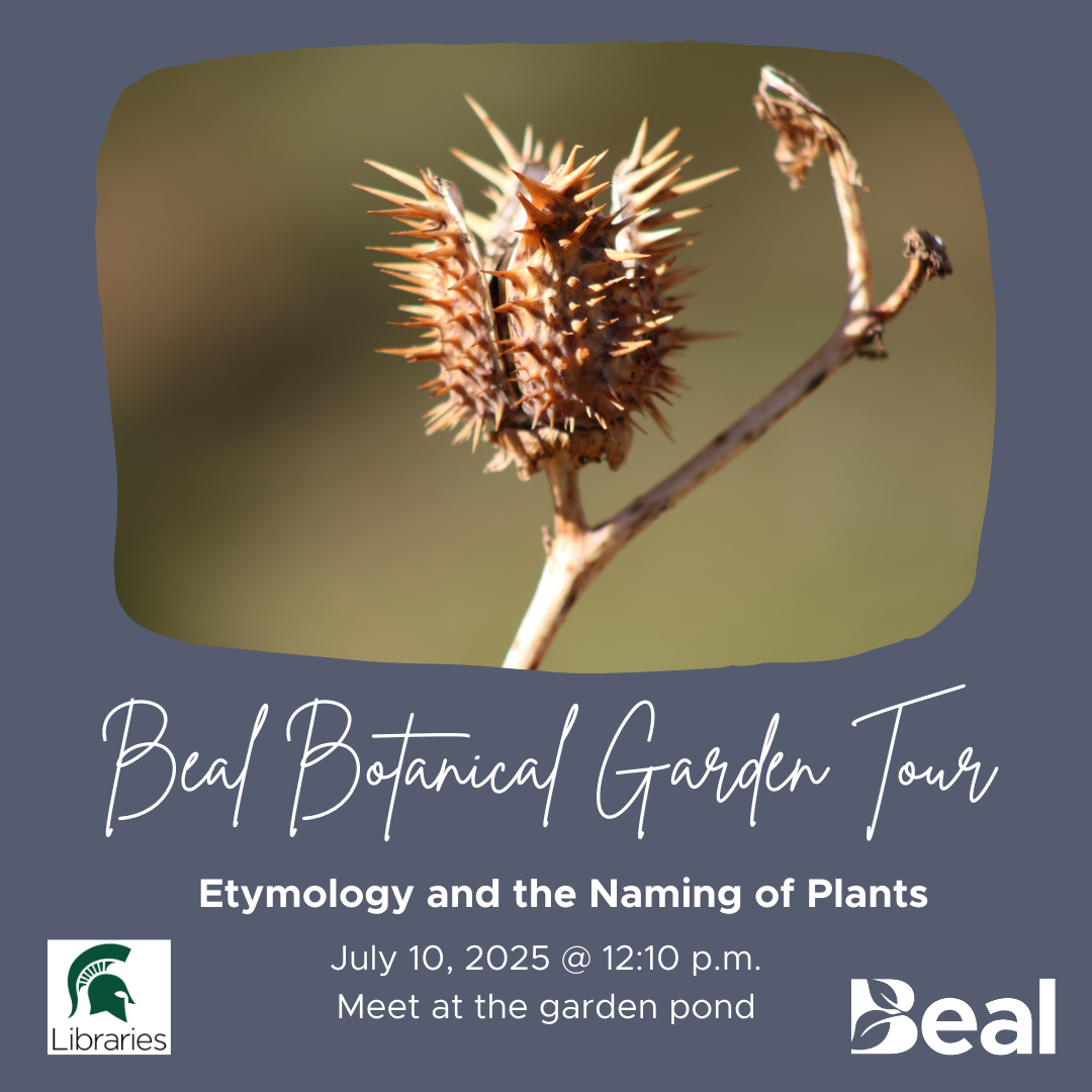 promotional graphic featuring photo of a branch with a spiky brown seed pod