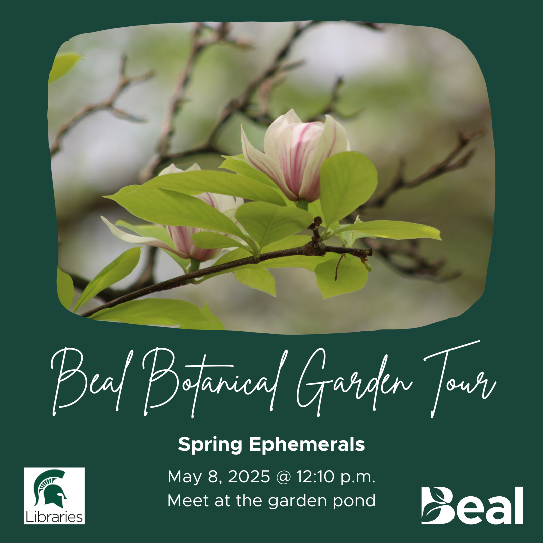 promotional graphic featuring photo of a tree branch with a small pink flower and green leaves