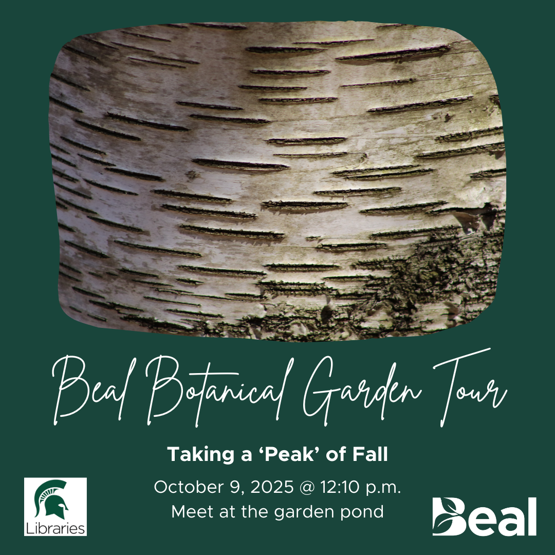 promotional graphic featuring a close up photo of striped tree bark