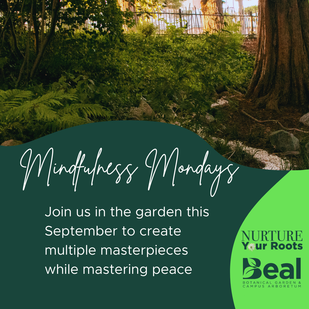 promotional graphic for Mindfulness Monday activities