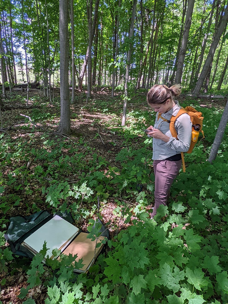 Marissa Nufer, collecting plants