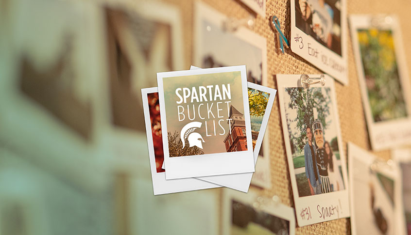 photographs on a bulletin board