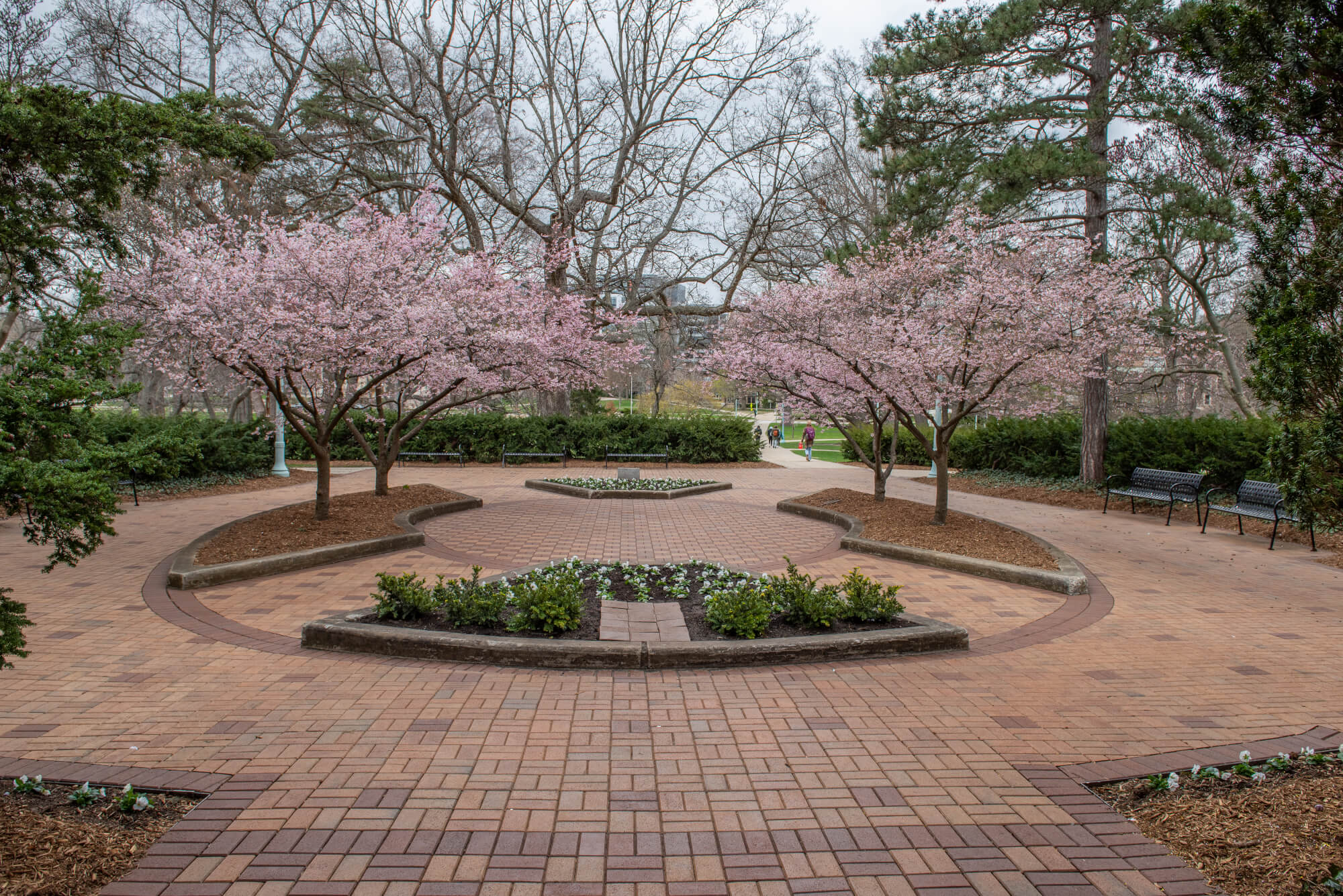 Spring garden at Beaumont Tower