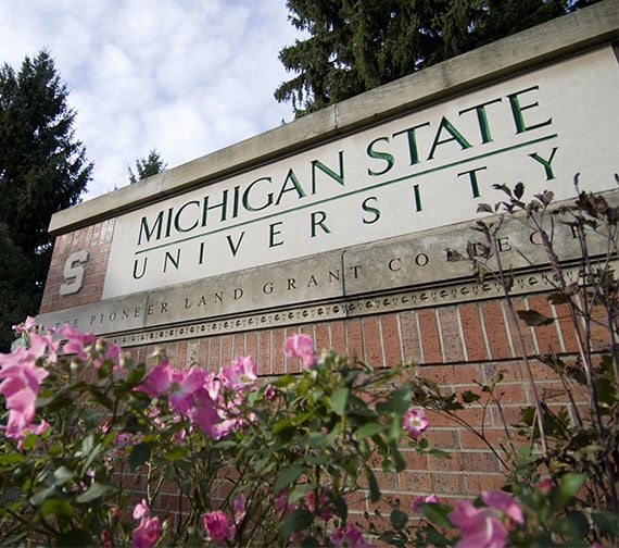 Michigan State University entrance sign surrounded by pink flowers