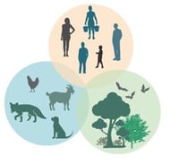 three overlapping circles with animals, nature, and human figures in each circle respectively