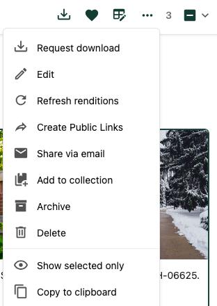 Screenshot of the asset actions dropdown menu