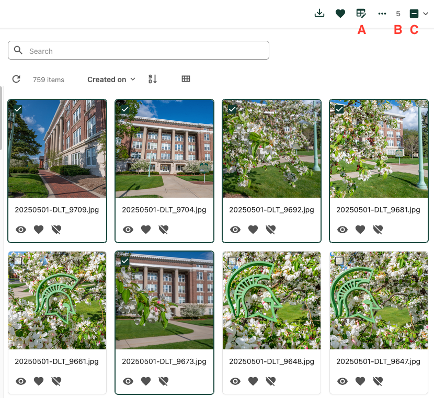 The asset selection screen showing eight image thumbnails
