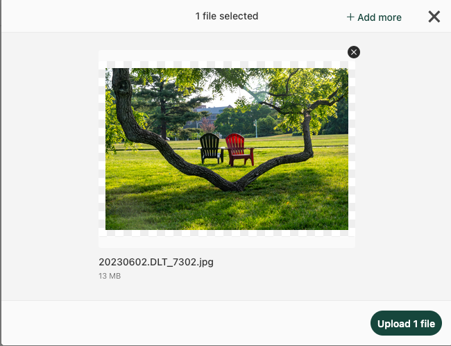 Screenshot of the file upload window showing a photo of two adirondack chairs viewed between tree branches