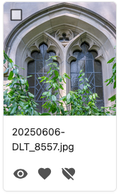 Screenshot of an asset tile showing a photo thumbnail of flowers with icons below indicating view, favorite and unfavorite