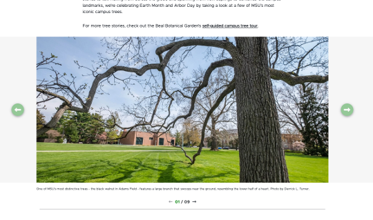 A block of text is followed by in image slider with arrows to the left and right to change the visible image. The image shown is of bare branched trees in front of a field of green grass.