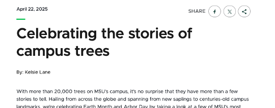 A screenshot of a website story. At the top left: 