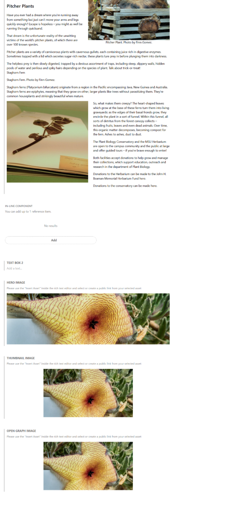 A screenshot of a sample story layout in Content Hub's data fields