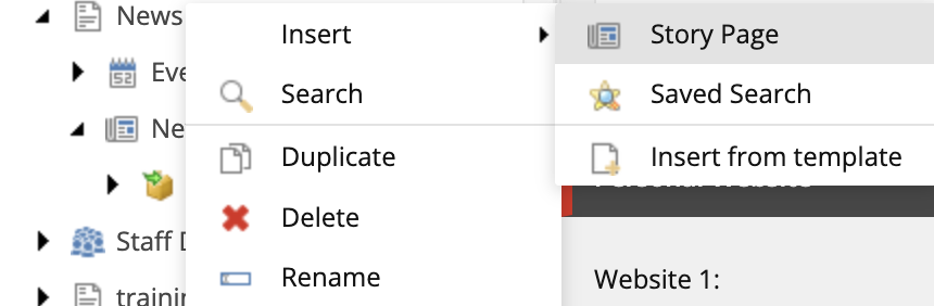Screenshot of the Content Editor content tree with News then Insert then Story Page selected