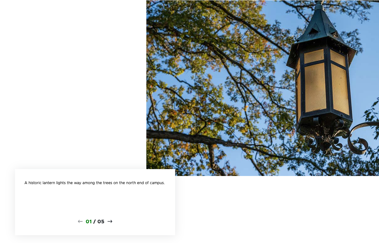 A screenshot of a carousel component using the Center Right Aligned variant. The photo appears on the right with a caption box and pagination arrows on the left. In this slide, a photo of a lantern against a backdrop of tree branches and a blue sky is shown.