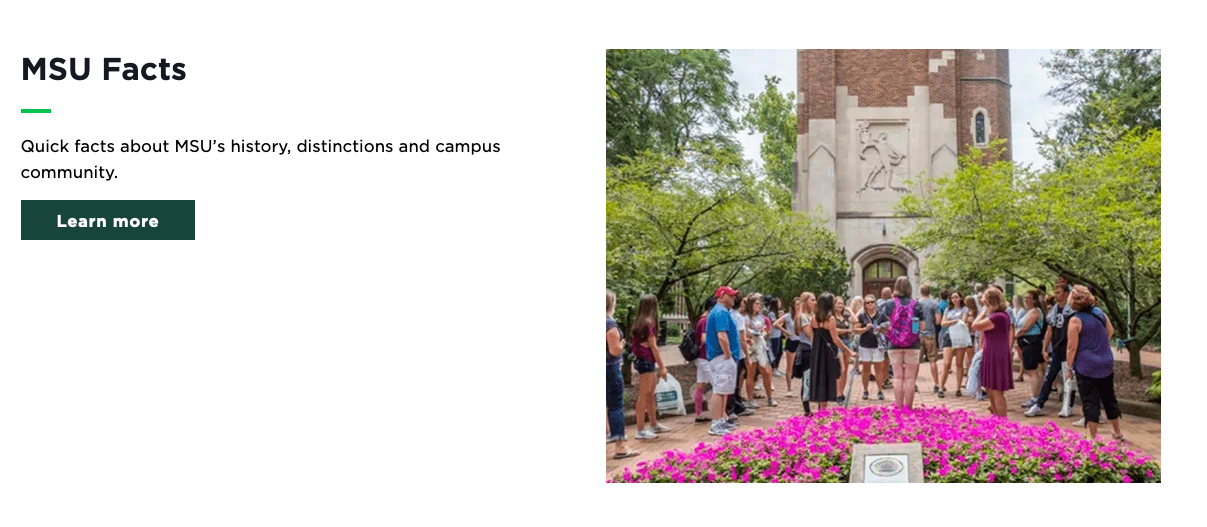 A screenshot of a one-column mixed content component with image