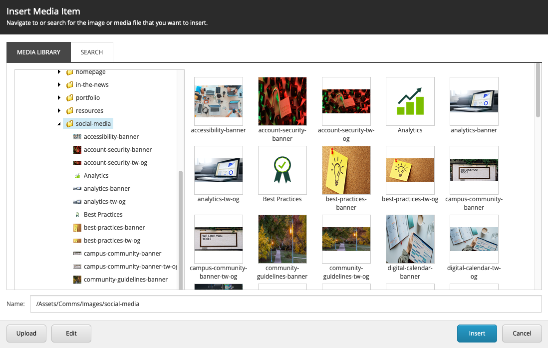 A screenshot of the insert media pane