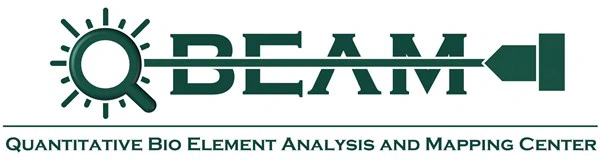 qbeam_logo_green