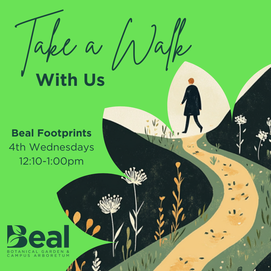 Flyer for the Take a Walk With Us series.